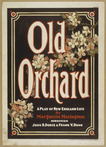 Old orchard a play of New | Free Photo - rawpixel Old orchard a play of New | Free Photo - rawpixel