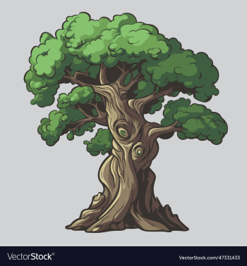 old tree isolated on gray background