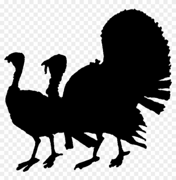 Old Vintage Designs Free Public Domain Thanksgiving - Turkey Silhouette Old Vintage Designs Free Public Domain Thanksgiving - Turkey Silhouette