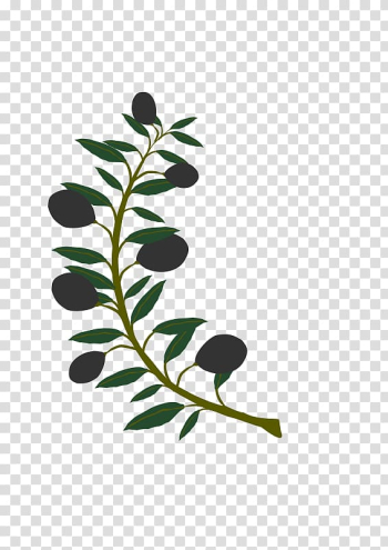 Olive branch , watercolor tree transparent background PNG clipart Olive branch , watercolor tree transparent background PNG clipart
