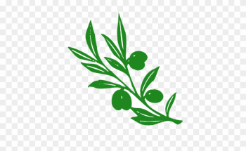 Olive Tree Branch Vector Image - Athena&#39;s Symbol Olive Tree