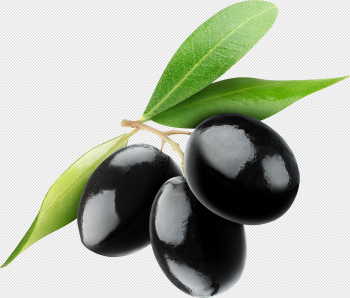 Olives PNG images free download, olive PNG Olives PNG images free download, olive PNG
