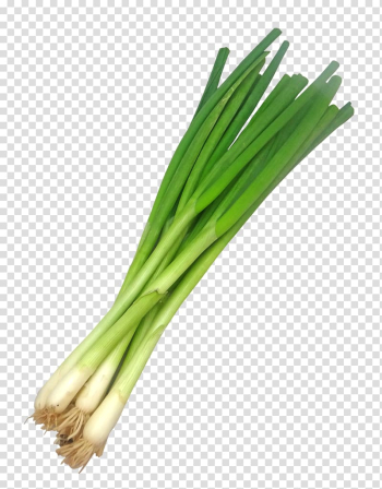 Omelette Breakfast Tabbouleh Vegetable Scallion, onions transparent background PNG clipart