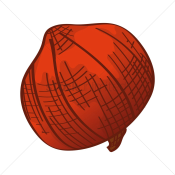 Onion Onion