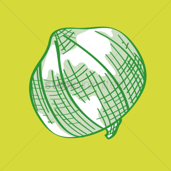 Onion Onion