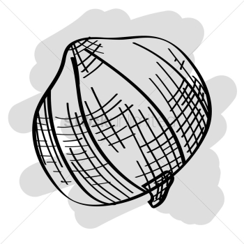 Onion Onion