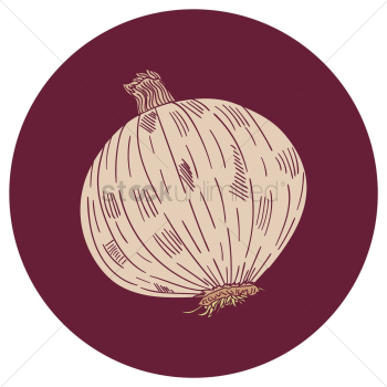 Onion Onion
