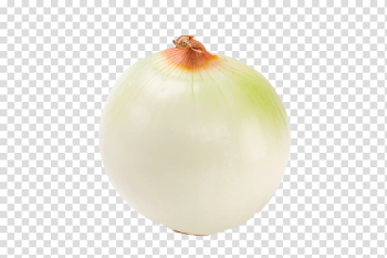 Onion Fruit, HD peeled onion transparent background PNG clipart Onion Fruit, HD peeled onion transparent background PNG clipart