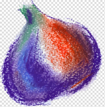 Onion Google Purple Vegetable, Hand painted colorful onion transparent background PNG clipart