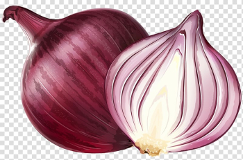 Onion illustration, Red onion Euclidean Illustration, Purple onions transparent background PNG clipart