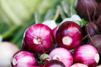 onion lot onion lot
