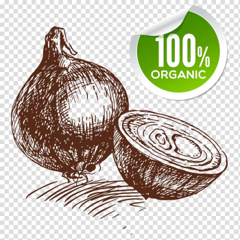 Onion ring Shallot Vegetable Fried onion, onion transparent background PNG clipart Onion ring Shallot Vegetable Fried onion, onion transparent background PNG clipart