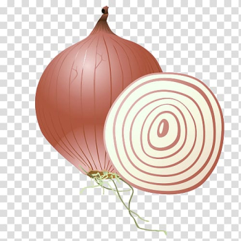 Onion Vegetable, cartoon onion transparent background PNG clipart Onion Vegetable, cartoon onion transparent background PNG clipart