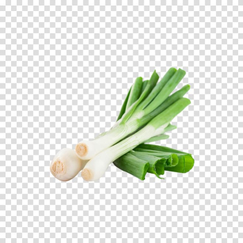 Onion Vegetable Scallion Allium fistulosum, Green onions transparent background PNG clipart