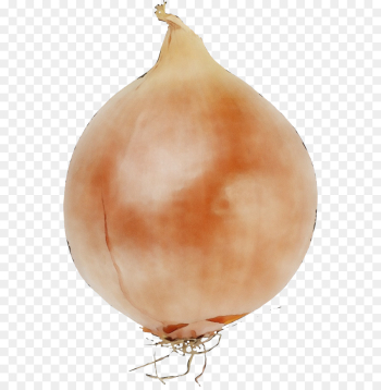onion vegetable yellow onion food shallot onion vegetable yellow onion food shallot