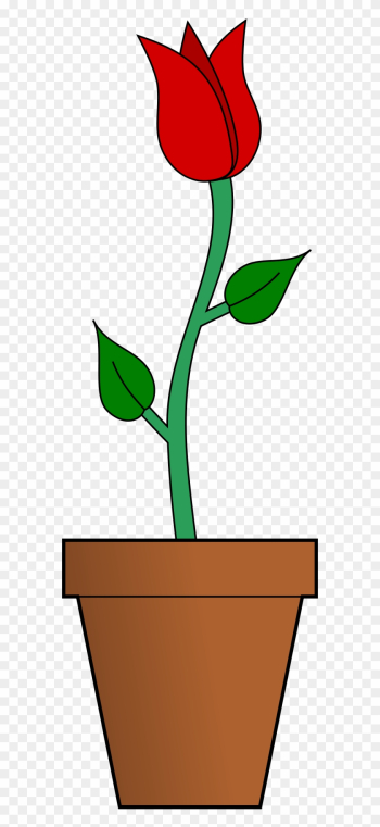 Open - Flower Vase In Cartoon Open - Flower Vase In Cartoon