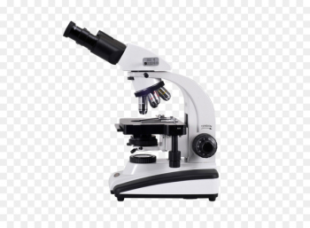 Optical microscope Light Scanning electron microscope Diagram - Microscope PNG 