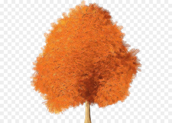 Orange Orange
