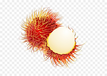 Orange Orange
