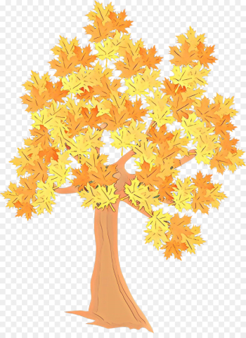 Orange Orange