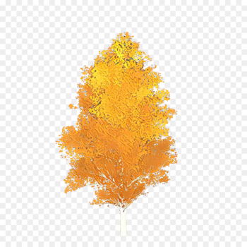 Orange Orange