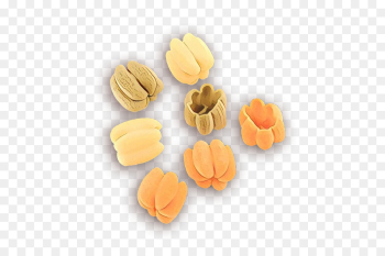 Orange Orange