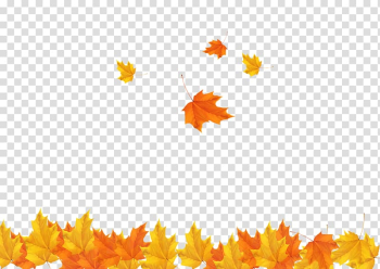 Orange and yellow leaves, Autumn Leaf , Fall maple leaves background transparent background PNG clipart