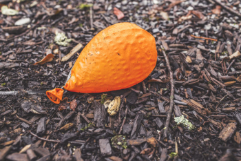 Orange Balloon Orange Balloon