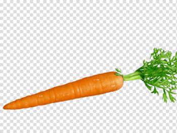 Orange carrot, Carrot and stick Root Vegetables Food, carrot transparent background PNG clipart
