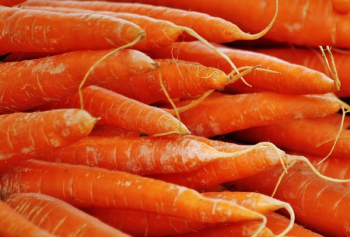 Orange Carrots Orange Carrots