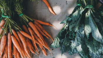 orange carrots orange carrots