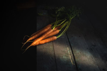 orange carrots lot orange carrots lot