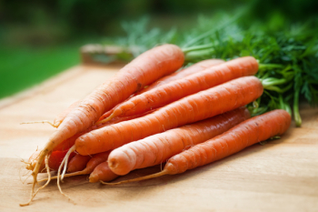 Orange Carrots on Table Orange Carrots on Table