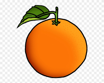Orange Clipart - Orange Clipart Orange Clipart - Orange Clipart
