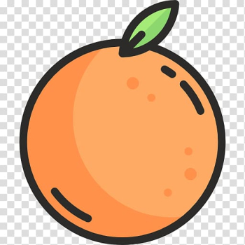 Orange Computer Icons Fruit , orange transparent background PNG clipart Orange Computer Icons Fruit , orange transparent background PNG clipart