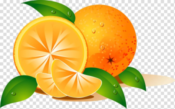 Orange Desktop Fruit , orange transparent background PNG clipart Orange Desktop Fruit , orange transparent background PNG clipart