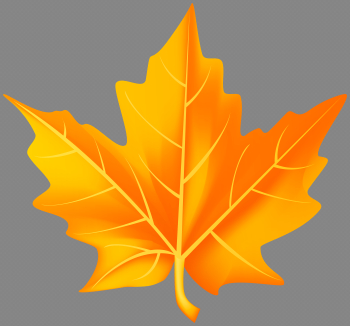 Orange Fall Leaf PNG Clipart | Gallery Yopriceville - High ...