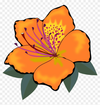 Orange Flowers Cliparts - Orange Flowers Clip Art Orange Flowers Cliparts - Orange Flowers Clip Art