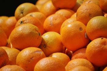 Orange Fruit Orange Fruit