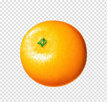 Orange fruit , Orange juice Clementine, Orange transparent background PNG clipart Orange fruit , Orange juice Clementine, Orange transparent background PNG clipart
