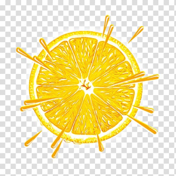 Orange juice Fruit, orange transparent background PNG clipart Orange juice Fruit, orange transparent background PNG clipart