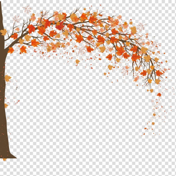 Orange leafed tree, Autumn Adobe Illustrator, Autumn maple background design transparent background PNG clipart