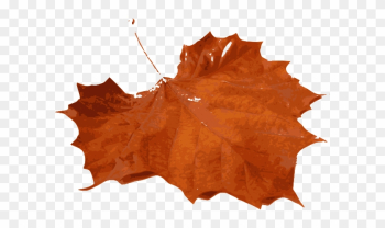 Orange Leaves Cliparts - Fall Leaf Orange Leaves Cliparts - Fall Leaf