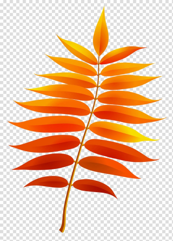 Orange leaves on branch sticker, Leaf , Fall Leaf transparent background PNG clipart Orange leaves on branch sticker, Leaf , Fall Leaf transparent background PNG clipart