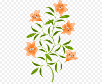 Orange Lily, Tiger Lily, Easter Lily, Flower, Plant PNG Orange Lily, Tiger Lily, Easter Lily, Flower, Plant PNG