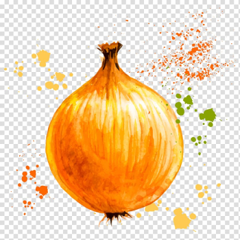 Orange onion painting, Onion ring Vegetable Watercolor painting, Drawing onion transparent background PNG clipart