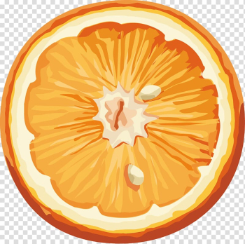 Orange , Orange , free transparent background PNG clipart Orange , Orange , free transparent background PNG clipart