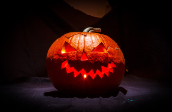 Orange Pumpkin Orange Pumpkin