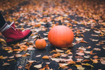 orange pumpkin orange pumpkin