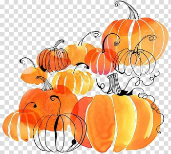 Orange pumpkin , Autumn Harvest festival Thanksgiving Flyer, pumpkin transparent background PNG clipart